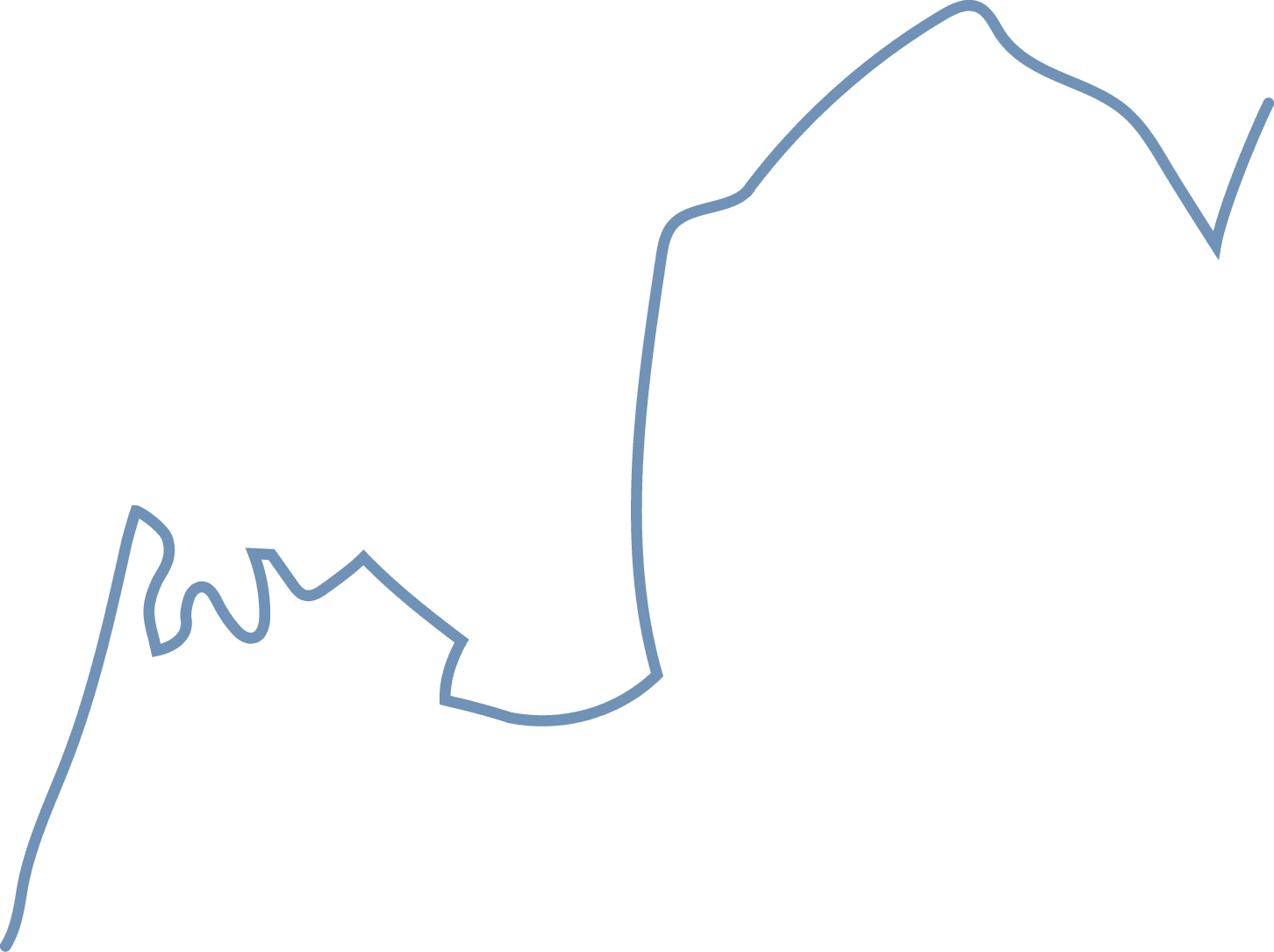 Polygon