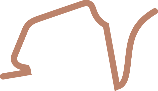 Polygon