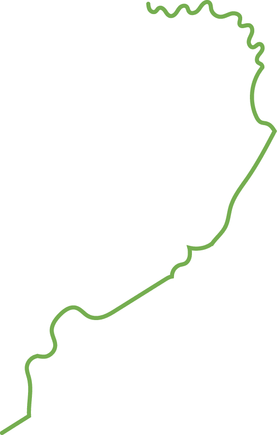 Polygon